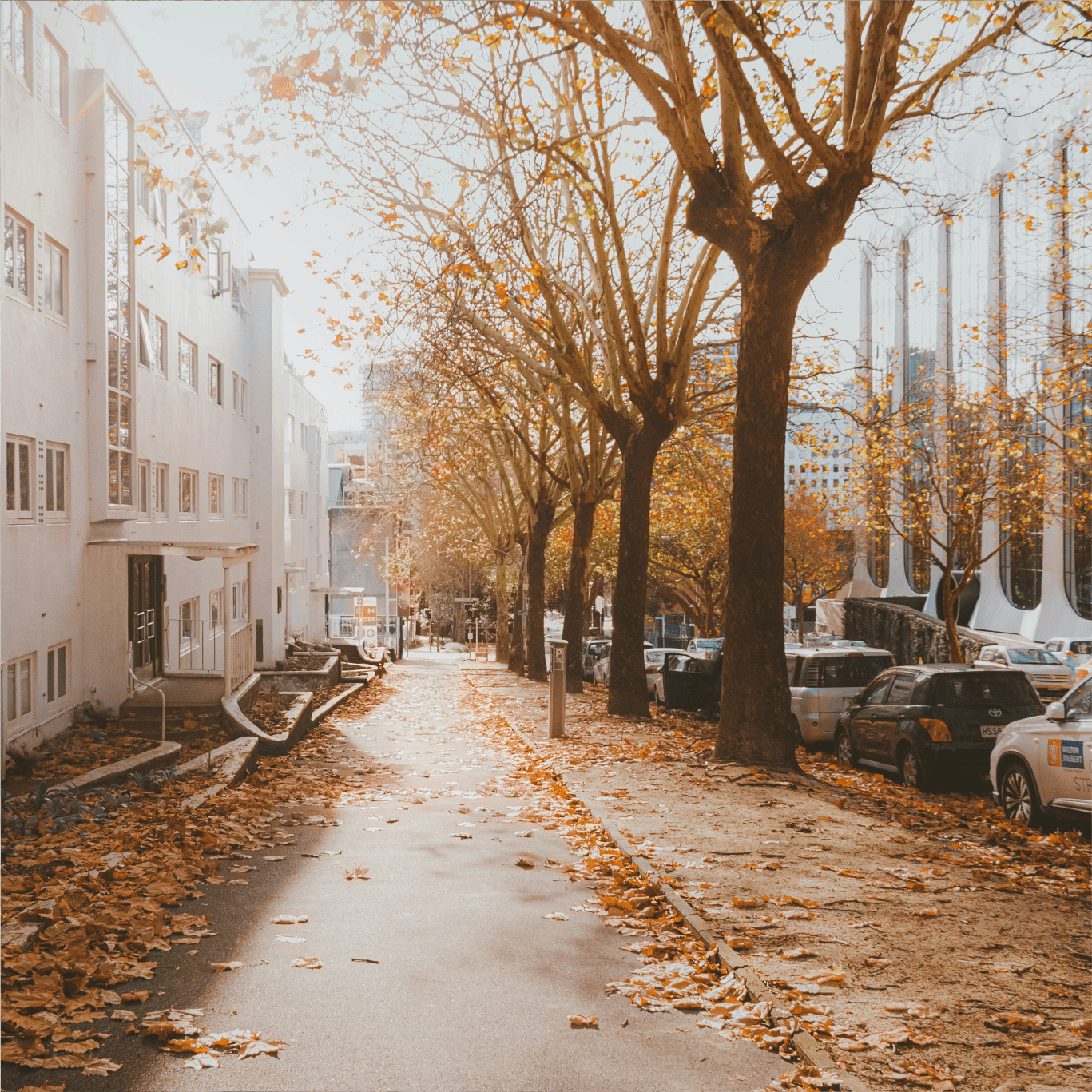 Top Rated Municipal Street Sweeper service in Port Hueneme, CA